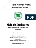 Guia de Seminarios 2020-I