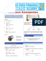 Términos Semejantes para Cuarto de Primaria