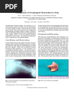 Management of Oesophageal Obstruction in A Dog