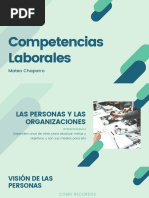 Competencias Laborales