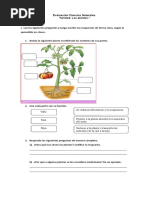 Evaluación La Planta Tercero Básico