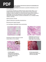 Foro de Argumentacion y Debate de Histologia