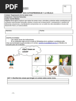 Guía de Autoaprendizaje de Ciencias Naturales, La Célula