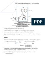 Solutions For Practice Problems For Molecular Biology, Session 2: DNA Replication