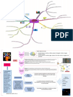 Organizador Visual Sobre Neuroeducación