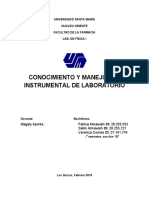 Informe de Fisica Ciclo I