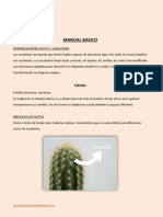 Manual Básico Cactus y Suculentas