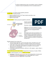 Parathormon (Fiziologie)