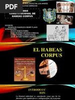 Grupo 6 Proceso Constitucionahabeas Corpus Exposicion