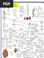 Mapa Bioquimica FINAL II