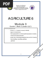 TLE-TE 6 - Q1 - Mod3 - Agriculture