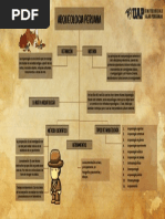 Cuadro Conceptual de La Arqueologia y Sus Origenes