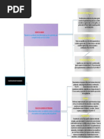 MAPA MENTAL Listo para Entrewgar