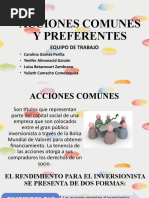 Acciones Comunes y Preferentes