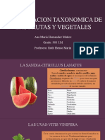 Clasificacion Taxonomica de Las Frutas y Vegetales