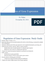 Regulation of Gene Expression