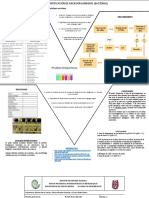 Identificación de Microorganismos (Bacterias) - Pamela Ponce. 2LM3. Equipo2