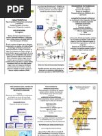 PDF Triptico Entamoeba Histolytica - Compress