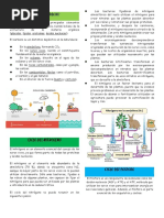 Ciclos BGQ