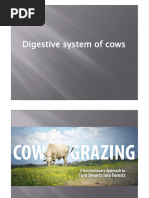 Digestive System of Cows