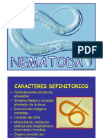 Nematoda PDF