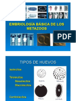 Embriología Metazoos PDF