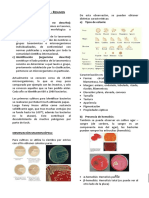 05 - Taxonomia Bacteriana