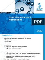 Sugar Manufacturing and Fermentation - Final