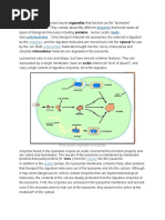 Lysosomes Are Membrane