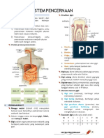 Sistem Pencernaan Manusia