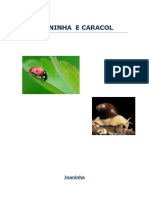 Joaninha e Caracol