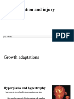 Cell Adaptation and Injury: Fort Salvador