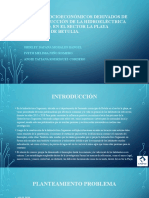 Diapositivas Proyecto