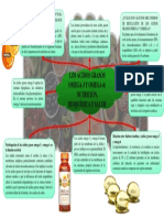 Importancia de Omega 3 y Omega 6