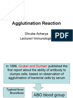 Agglutination Reaction JMHFHS