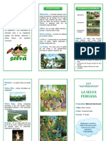 Triptico La Selva Peruana