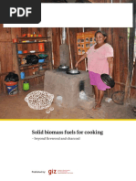 Solid Biomass Fuels For Cooking - Beyond Firewood and Charcoal. GIZ 2017 PDF