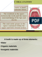 Oral Anatomy