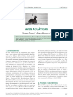 Aves Acuáticas-Ricardo Torres, Pablo Michelutti