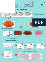 Infografia PDF