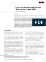 Rock Texture and Bwi Relationships, El Teniente Ore Deposit, Chile