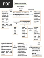 Mapa Conceptual TCE Leve