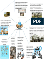 Infograma Origen y Evolucion de La Logistica