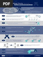 Y Chromosome Fact Sheet