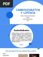 Carbohidratos y Lipidos