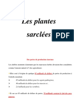 Plantes Herbacée - Plantes Sarclées - DJEMEL A. 3A PDF