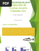 Producción de Truchas Arcoíris Triploide (3n)