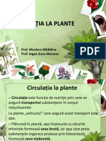 Ciculatia La Plante cl6