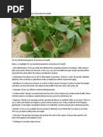 10 Very Beneficial Properties of Purslane For Health