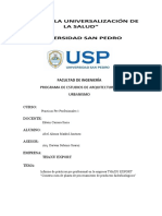 Informe de Practicas Pre Profesional2